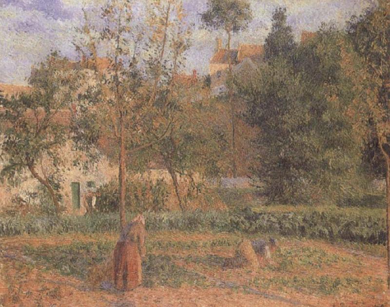 Camille Pissarro Vegetable Garden at the Hermitage near Pontoise oil painting image